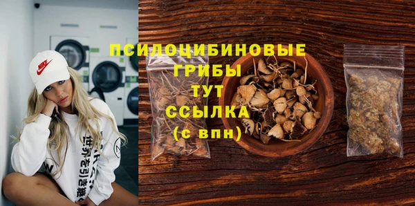 apvp Магас