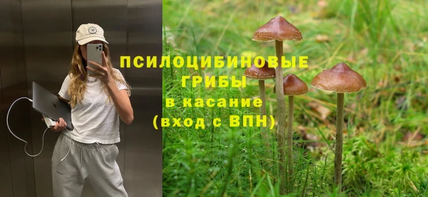 спиды Майский