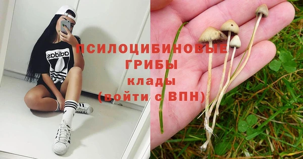 apvp Магас
