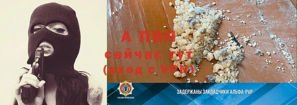 спиды Майский