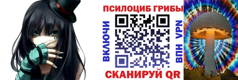 Купить  Аргун  Псилоцибиновые грибы мухоморы 